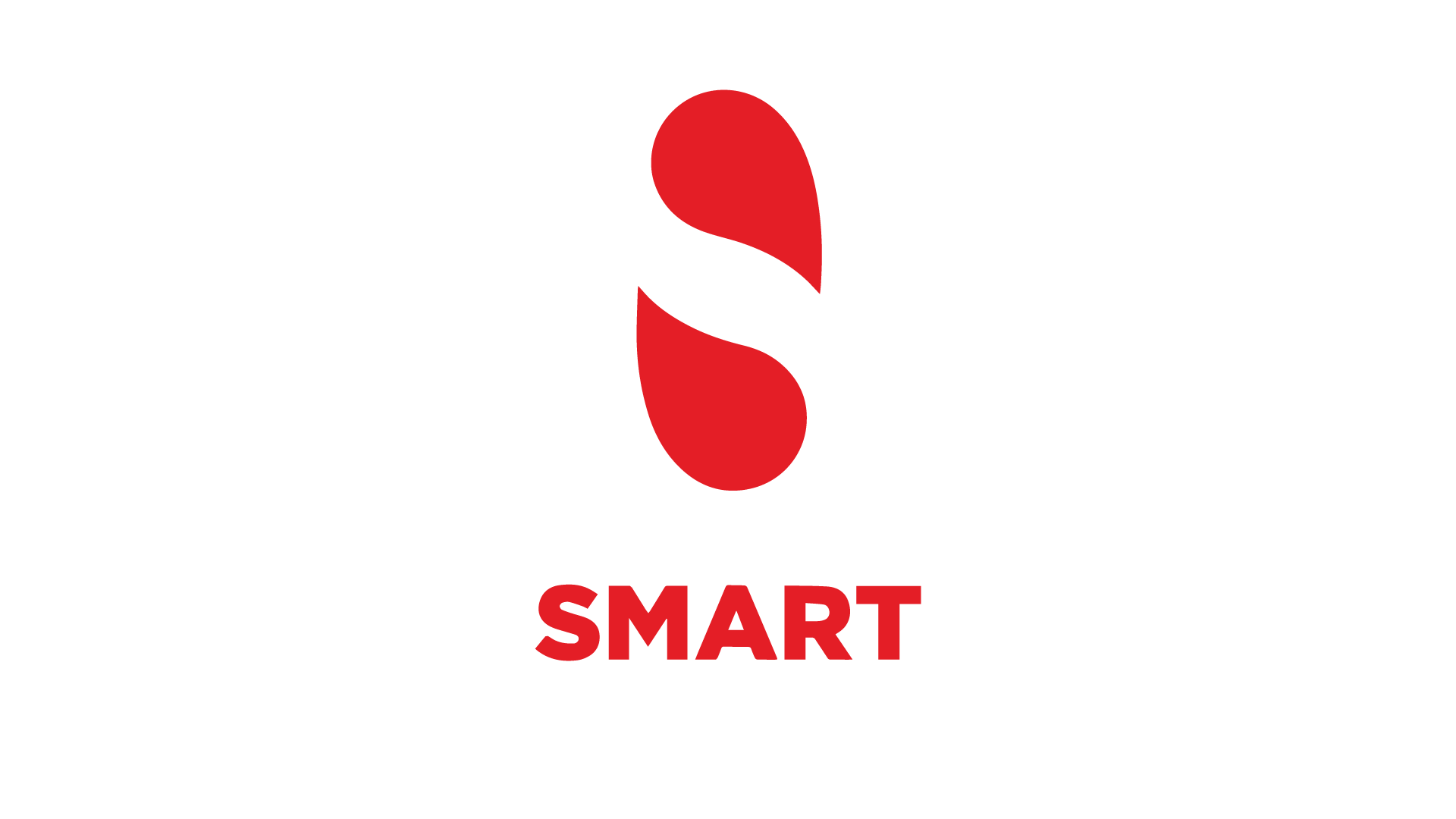 logo-Footer-Smart Conseil